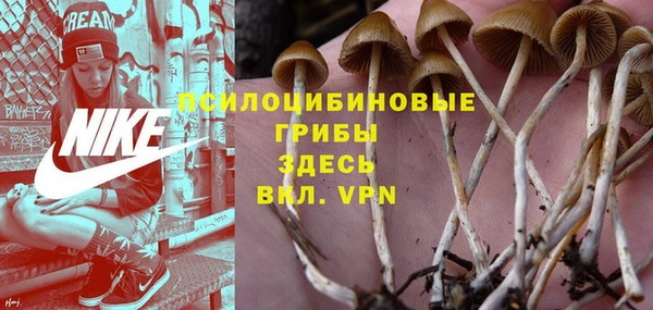 МДПВ Волосово