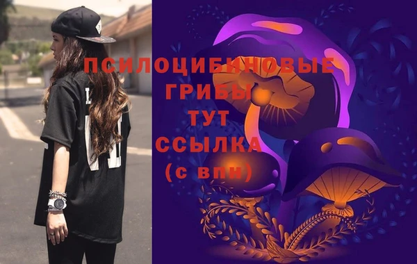 МДПВ Волосово