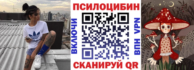 Галлюциногенные грибы Psilocybine cubensis  Иркутск 